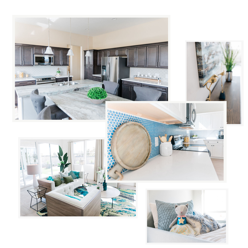 About-Bela-Flor-Modern-Design